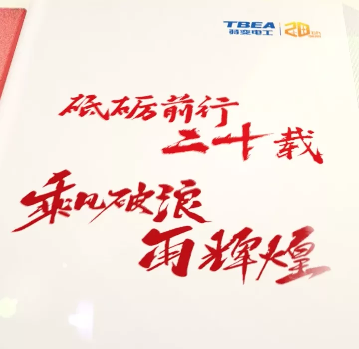新疆特变电工新能源股份有限公司20周年宣传片